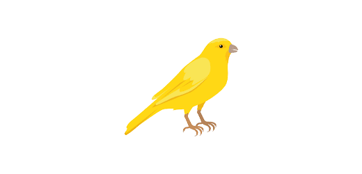 Kanarienvogel