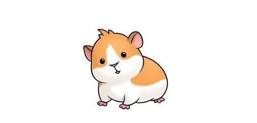 Meerschweinchen