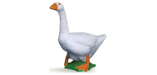 Gans