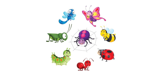 insekten