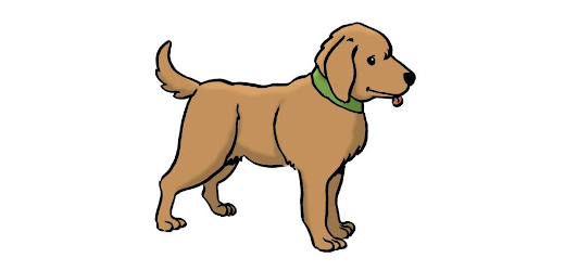 Hund