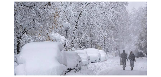 Winter