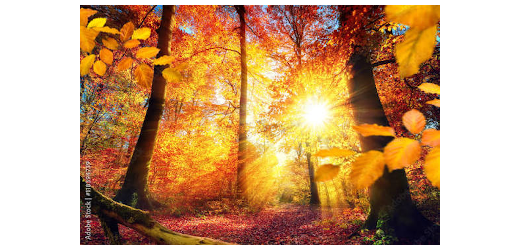 Herbst